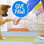 Image result for Dog Going to Stand