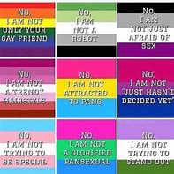 Image result for LGBT Alliance Meme