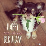 Image result for Belated Birthday Wishes Dog