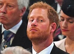 Image result for Prince Harry Tell All Book