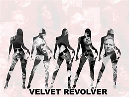 Image result for Who Is Velvet Revolver