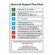 Image result for CPR Flow Chart Ppt