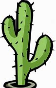 Image result for Pictures of Cactuses