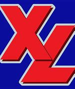 Image result for XL Group Logo