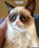 Image result for Grumpy Cat Good Meme