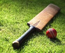 Image result for Cricket Cool