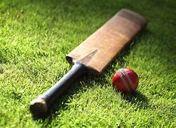 Image result for Cricket JPEG