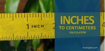 Image result for 76 Cm to Inches Convert