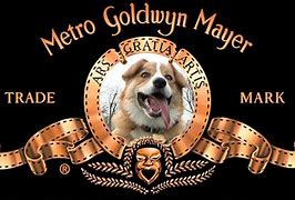 Image result for Metro Goldwyn Mayer Dog