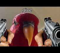 Image result for Red Bird Meme