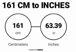 Image result for 193 Cm to Feet