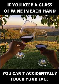Image result for Funny Memes About Wine
