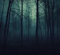 Image result for Gothic Woods Background