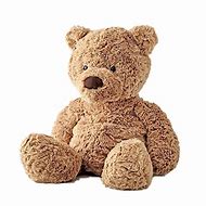 Image result for Teddy Bear PNG Transparent