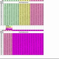 Image result for Inch Measurement Conversion Chart