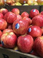 Image result for Apple Royal Gala 1PS