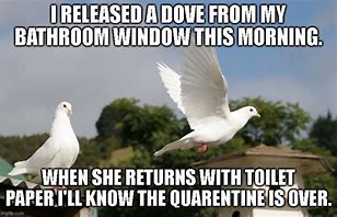 Image result for Is This a Dove Meme
