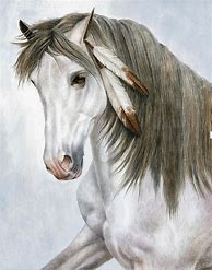 Image result for Native Horse Drawings