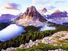 Image result for Mountain Tree Landscape