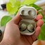 Image result for How to Wear Galaxy Buds