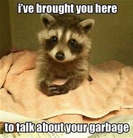 Image result for Best Animal Memes Ever