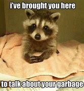 Image result for Hilarious Wild Animal Memes