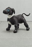Image result for Aibo Ball