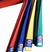 Image result for All Karate Belts in Order