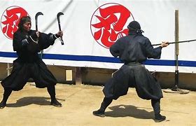 Image result for Japan Ninjutsu