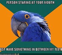 Image result for Staring Meme Face