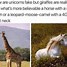Image result for So Excited Meme Unicorn