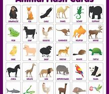 Image result for Animal Cards Printable