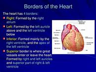 Image result for Page Borders Anatomy