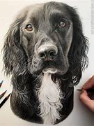 Image result for Dog Portraits Drawing