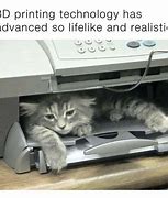 Image result for A Cat and an Inkjet Printer Meme