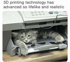 Image result for Full Cat Meme Printer