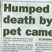 Image result for Funny Isle of Man News Headlines
