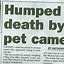 Image result for Funny News Saying