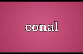 Image result for coenal