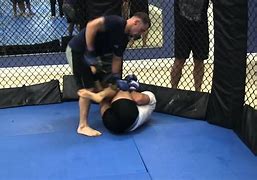 Image result for Freestyle Fighting Academy