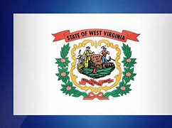 Image result for WV State Flag