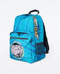 Image result for Santa Cruz Backpack