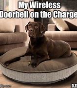 Image result for Doorbell Dog Meme