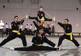 Image result for Vietnamese Martial Arts