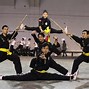 Image result for Vietnam Martial Arts