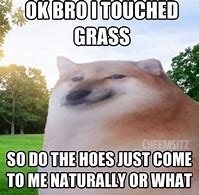 Image result for Sorry It Happened Doge Meme Touch Grass