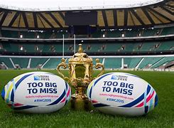 Image result for What Is the Rugby World Cup