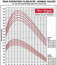 Image result for Normal Peak Flow Meter Chart