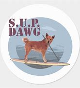 Image result for SUP Dawg