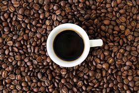 Image result for Robusta Coffee
